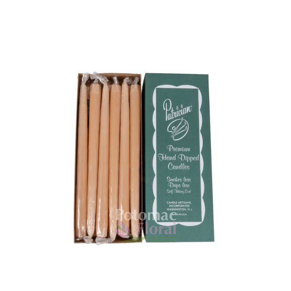 12" Spice Gold Wax Taper Candles Potomac Floral Wholesale